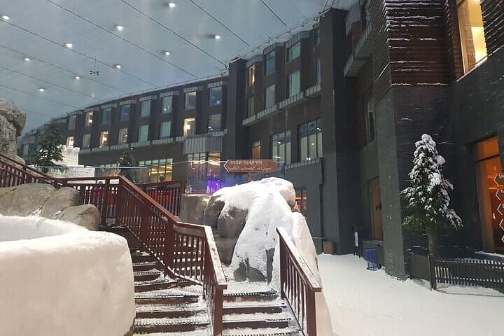 Ski Dubai: Snow Park Admission Ticket