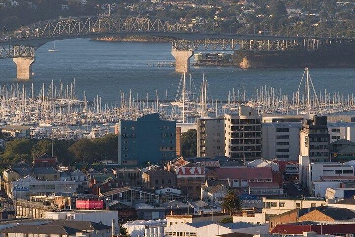 Auckland Private City Tour. Cruise port or Hotel pick up.