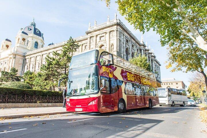 Best of Vienna Pass: Schönbrunn, Belvedere, Big Bus & Cruise