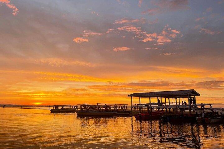 Full Day Bongawan River Cruise with Proboscis Monkey Sightseeing