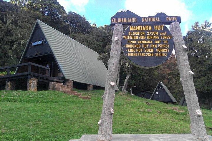 kilimanjaro Marangu Day hike