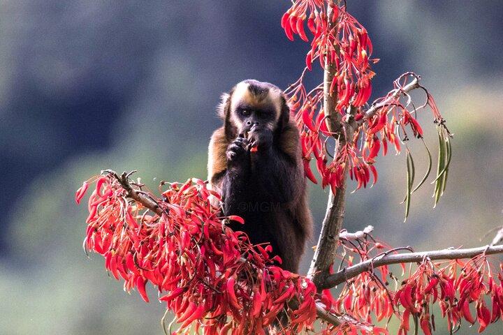 4-Day Manu National Park Amazon Jungle Tour from Cusco