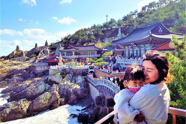 Busan Hidden Gems Private Tour with a Licensed Guide