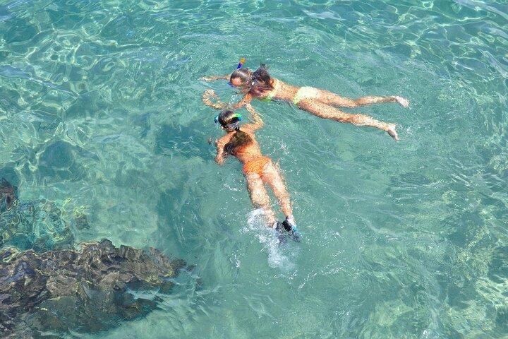 Florida Keys: Snorkel adventure & Sandbar Trip