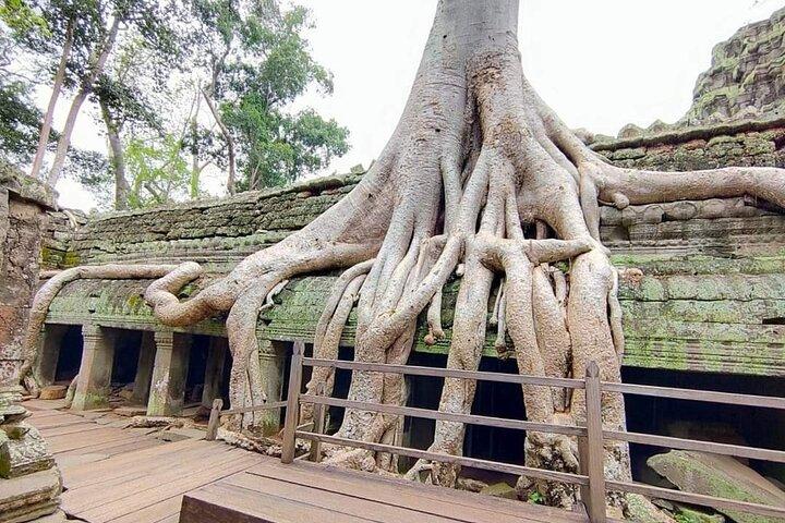 3 days tour in Siem Reap