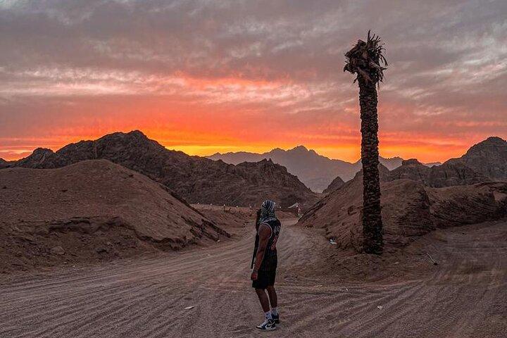 Sharm 5-in-1 Desert Safari: Quad, Camel Ride, Dinner & Stargazing