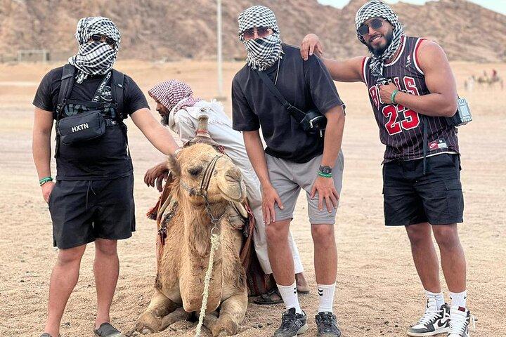 Sharm 5-in-1 Desert Safari: Quad, Camel Ride, Dinner & Stargazing
