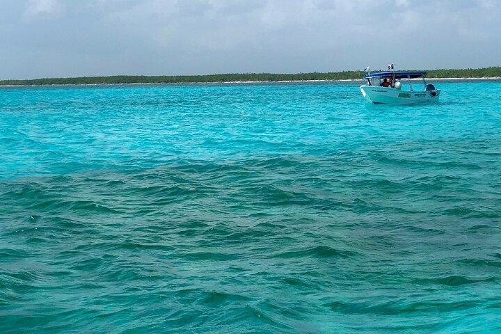Cozumel Snorkeling Tour: Palancar, Columbia and El Cielo Reefs