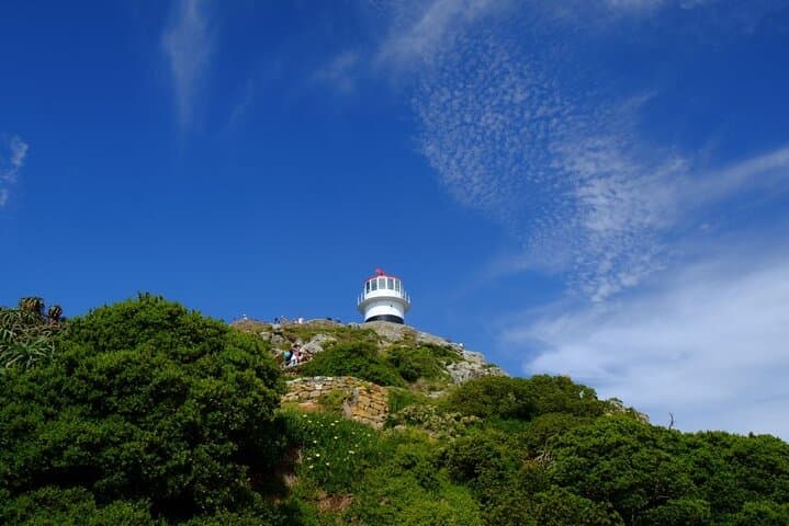 Cape Peninsula Tour
