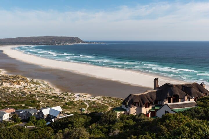 Cape Peninsula Tour