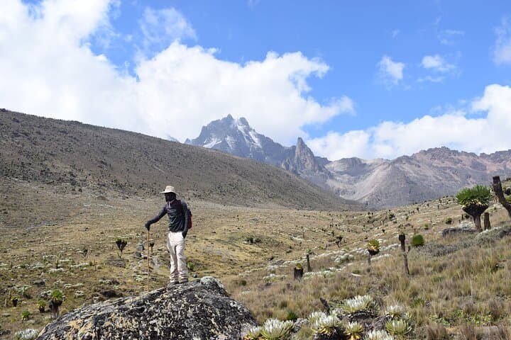 1 Day Mt Kenya Hike - Narumoro Route