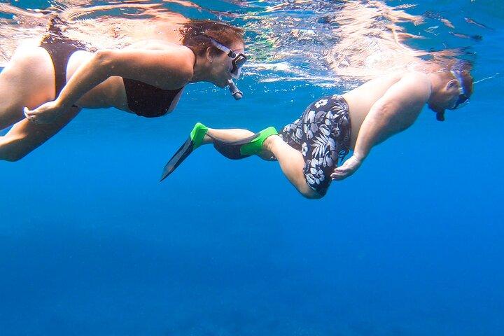 Lanai Eco-Raft Snorkel & Dolphin Watch Small Group Tour from Maui