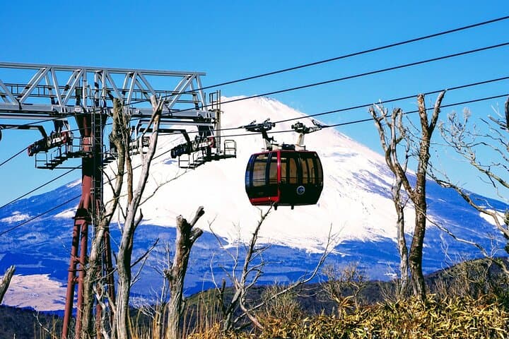 Mt. Fuji 5th St, Hakone Owakudani, Lake Ashi and Gotemba Outlets