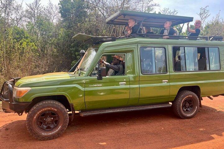 1 Day Akagera National Park Safari experience