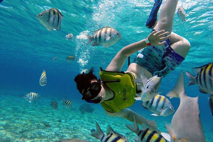 Cozumel by transparent boat and snorkeling in the sky with lunch.