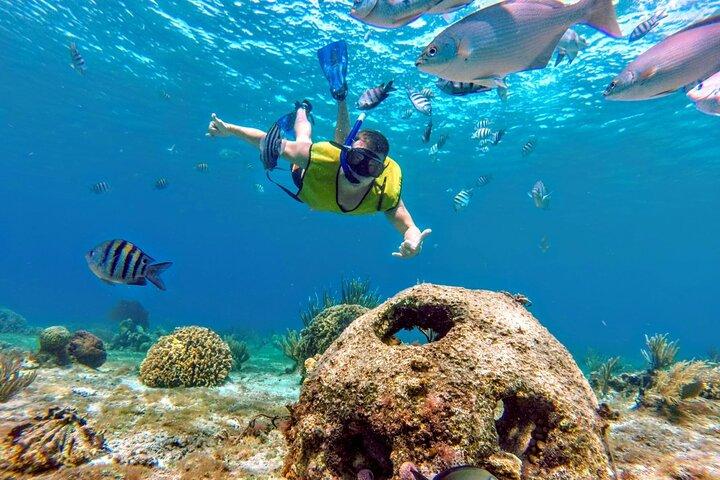 Cozumel by transparent boat and snorkeling in the sky with lunch.
