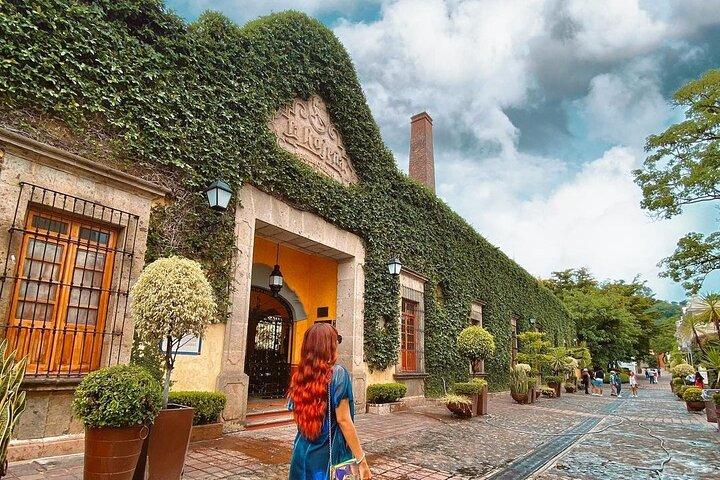 Private Full-Day Tour to Tequila Visiting Tequilera José Cuervo