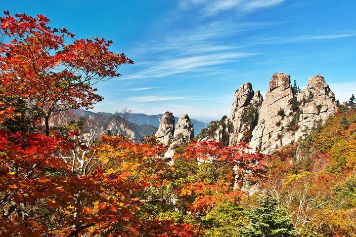 Seoraksan with Nami Island or Sinheungsa Temple tour from Seoul