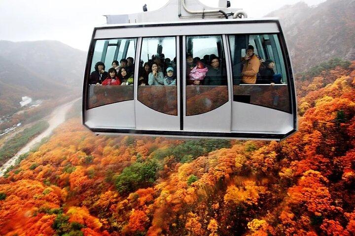 Seoraksan with Nami Island or Sinheungsa Temple tour from Seoul