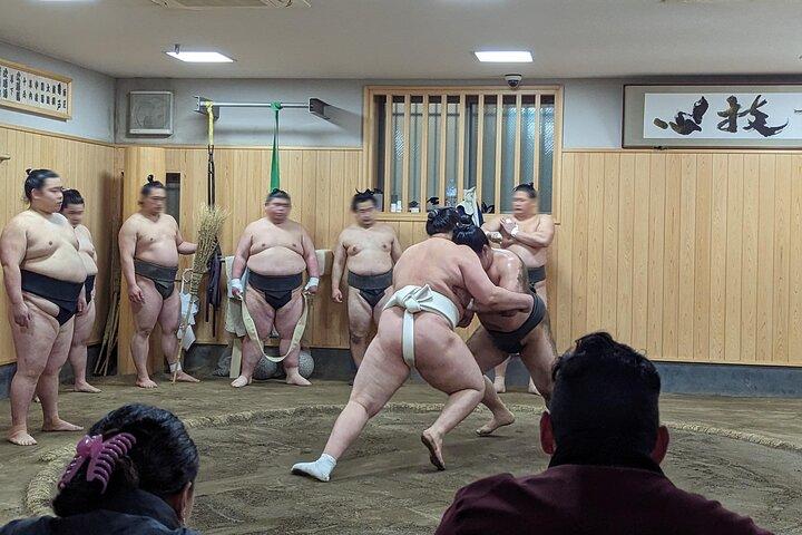 Find Your Favorite Wrestler at Morning Sumo Practice