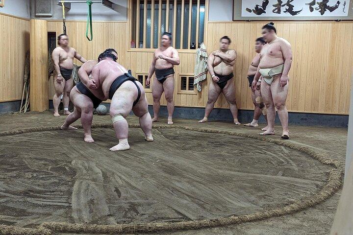 Find Your Favorite Wrestler at Morning Sumo Practice
