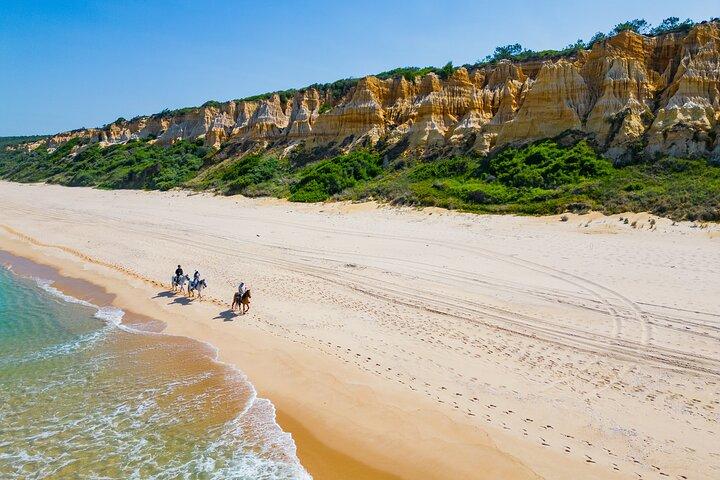 Horseback Riding, 4 Options-Mountain, Lesson Ring, Beach (2Hours)