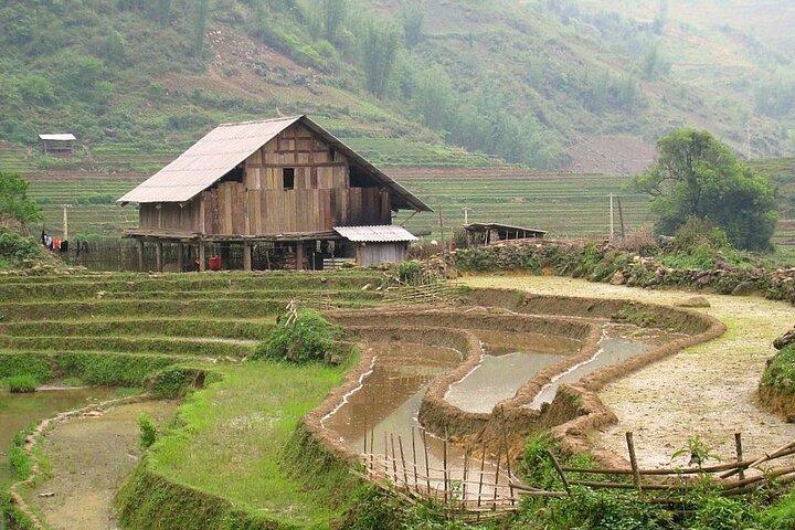 Half-Day Private Muong Hoa Valley Trek and Ethnic Tribes Tour
