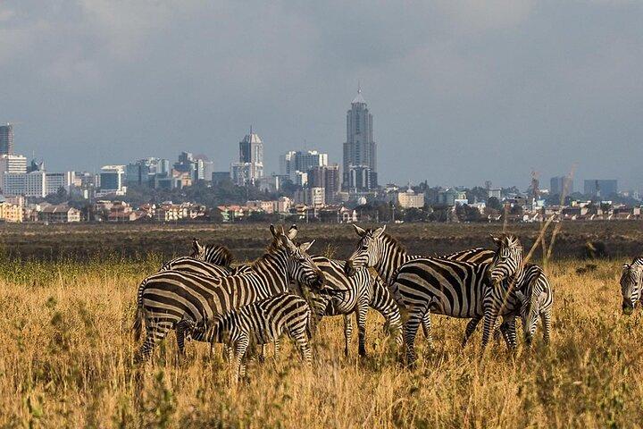 Nairobi National Park, Giraffe Center and Kobe Beads Tour