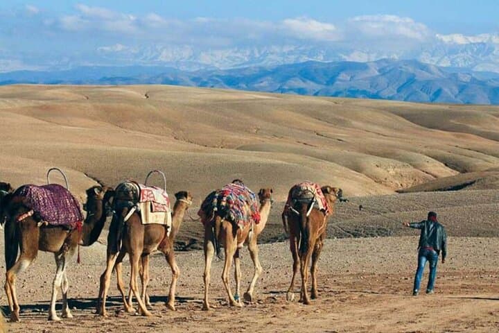 Quad Biking & Camel Ride in Agafay Desert with Dinner Show