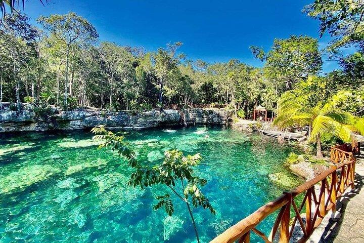 CENOTE DAY! with transportation from Cancun, Playa DC or Tulum