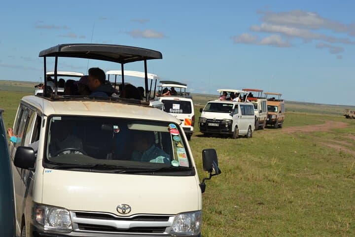 Nairobi Urban Safari: Half-Day Wildlife Adventure