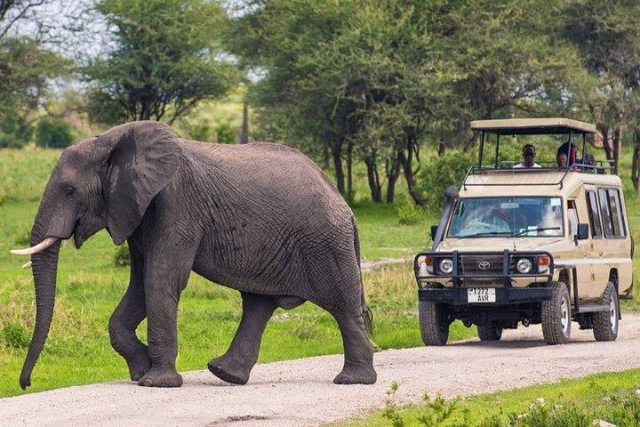 5 Days Tarangire, Serengeti & Ngorongoro Crater