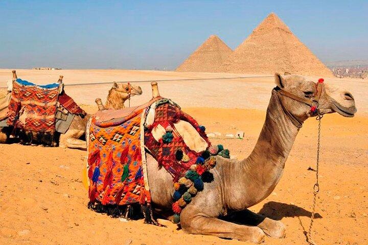 Exploring Giza's Treasures