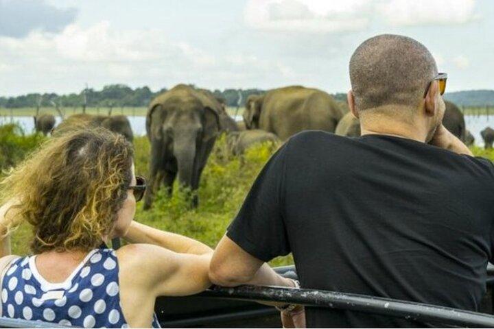 Sigiriya, Dambulla & Habarana Safari Tour from Colombo | Budget