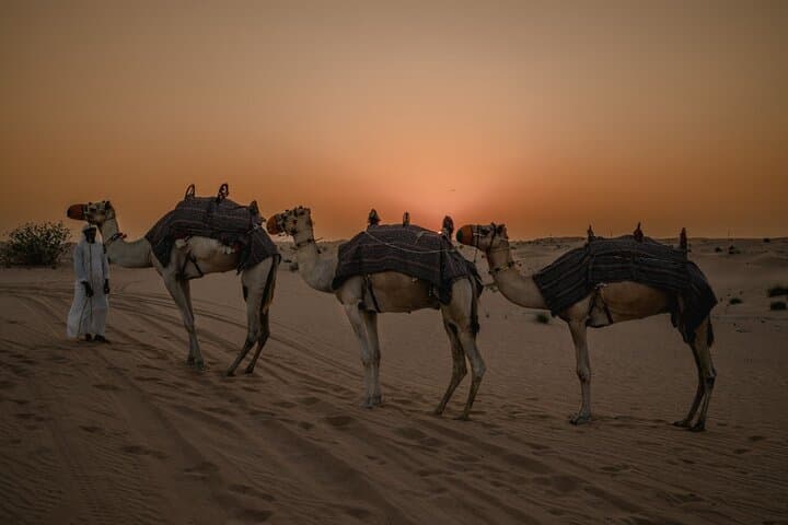 Deluxe Sunset Desert Safari: SandSurfing, Camel Ride & BBQ dinner