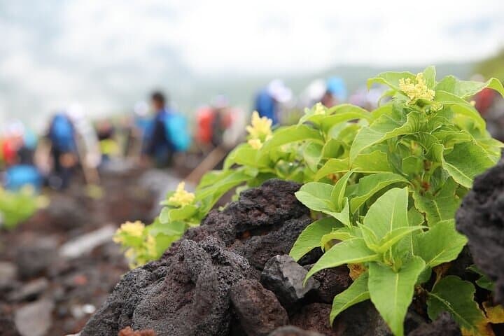 Private Trekking Experience up to 7th station in Mt. Fuji by Car