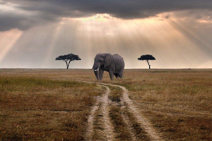 Full-Day Tour in Ngorongoro Crater