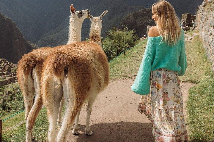 2-Day Tour Machu Picchu by Panoramic Train + Sacred Valley