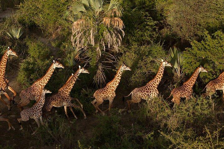 3 Day: Landscapes of Serengeti and Ngorongoro Crater