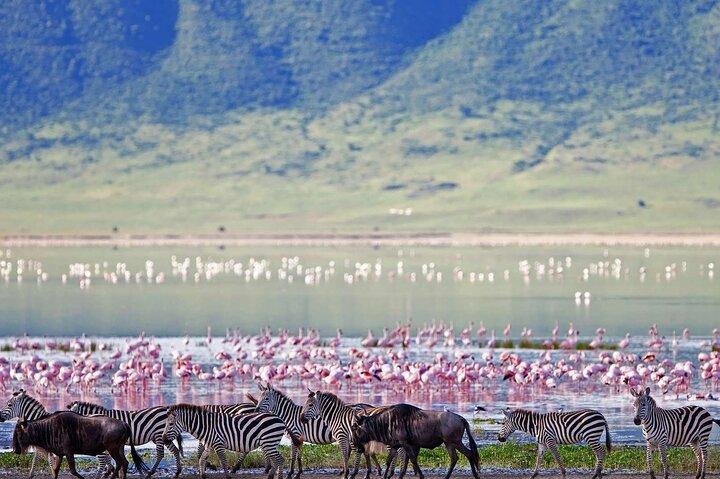 3 Day: Landscapes of Serengeti and Ngorongoro Crater