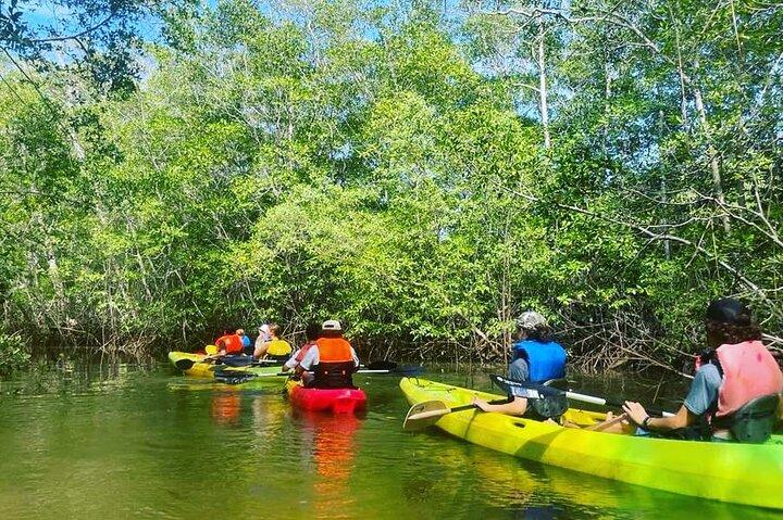 Tamarindo Mangrove Forest National Park kayaking