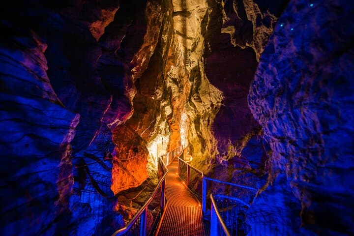 Waitomo Glowworm & Ruakuri Twin Cave - Private Tour From Auckland