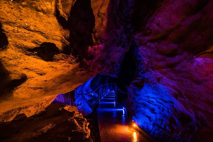 Waitomo Glowworm & Ruakuri Twin Cave - Private Tour From Auckland