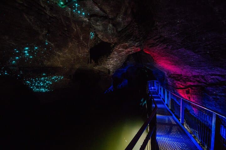 Waitomo Glowworm & Ruakuri Twin Cave - Private Tour From Auckland