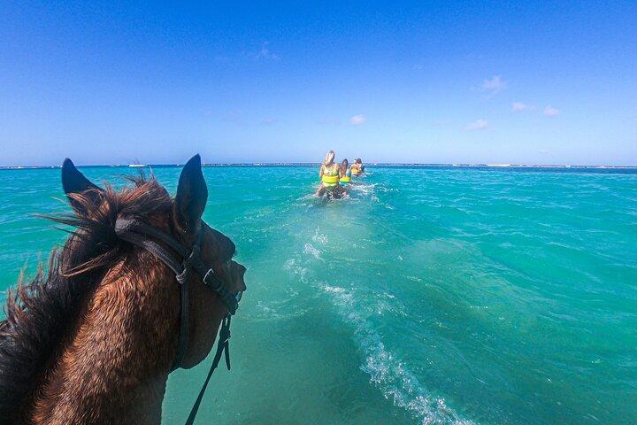 Dunns River Falls Climb, Horseback Ride & Swim and Ziplines