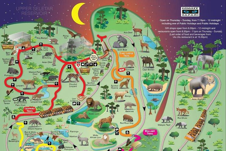 Singapore Night Safari Admission Voucher and Tram Ride Experience