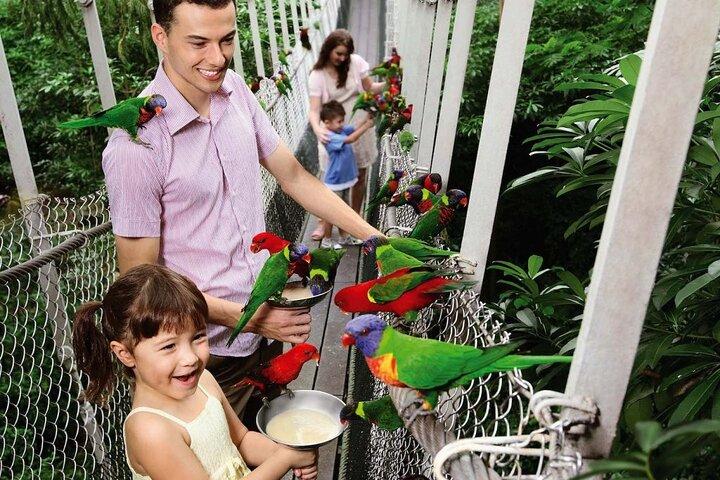 Singapore Night Safari Admission Voucher and Tram Ride Experience