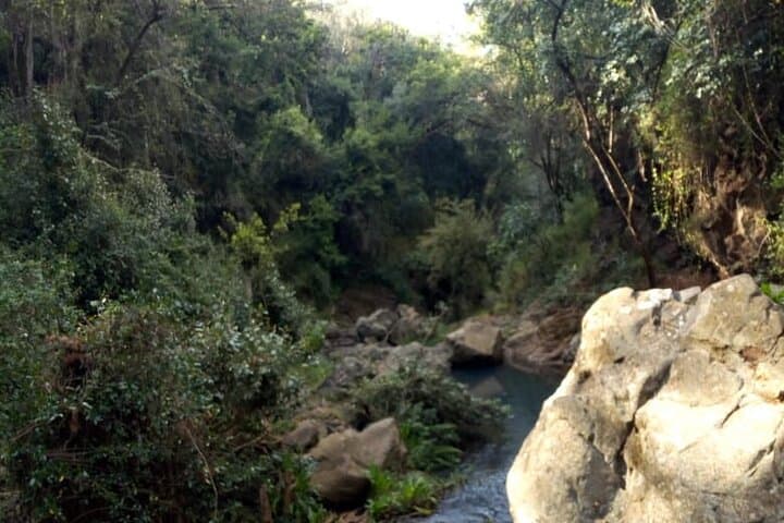 Ngare Ndare Day Trip - Nanyuki