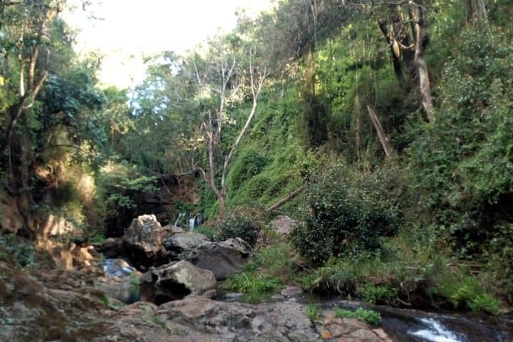 Ngare Ndare Day Trip - Nanyuki