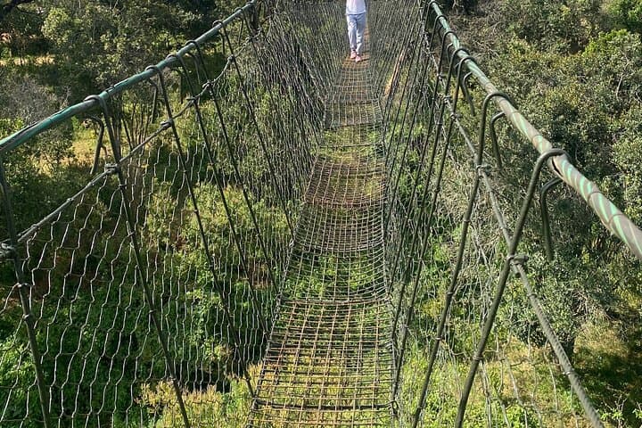 Ngare Ndare Day Trip - Nanyuki